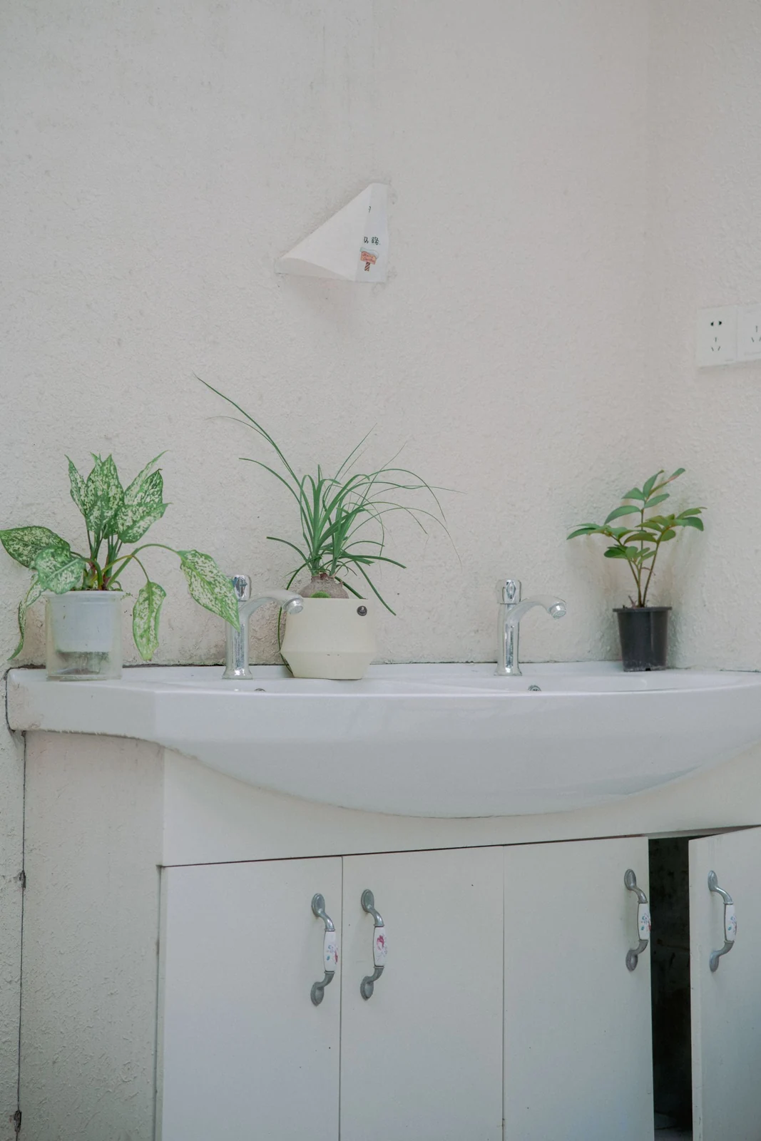 White bathroom vanity with plants