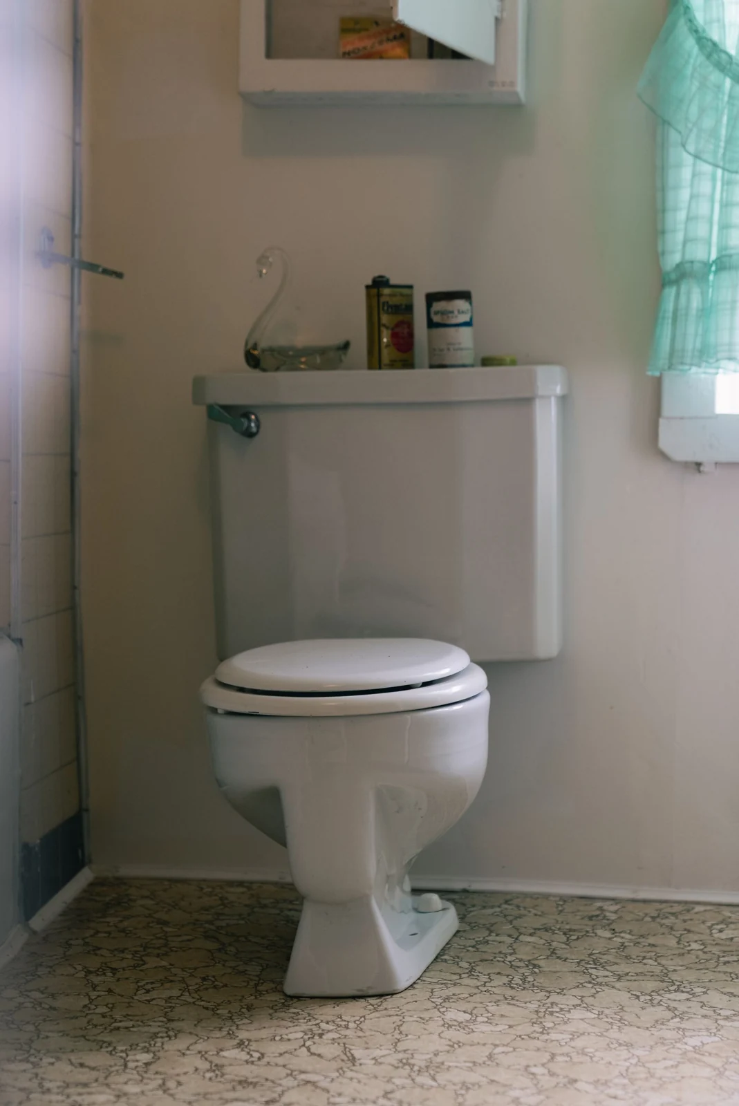 Toilet in a bathroom alcove